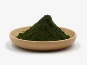 organic chlorella powder