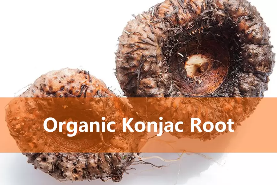 organic konjac root